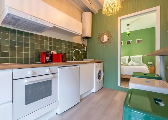 아파트 Les Hortillonnages_b&b Inn_centre Ville_terrasse_wifi_netflix 아미앵